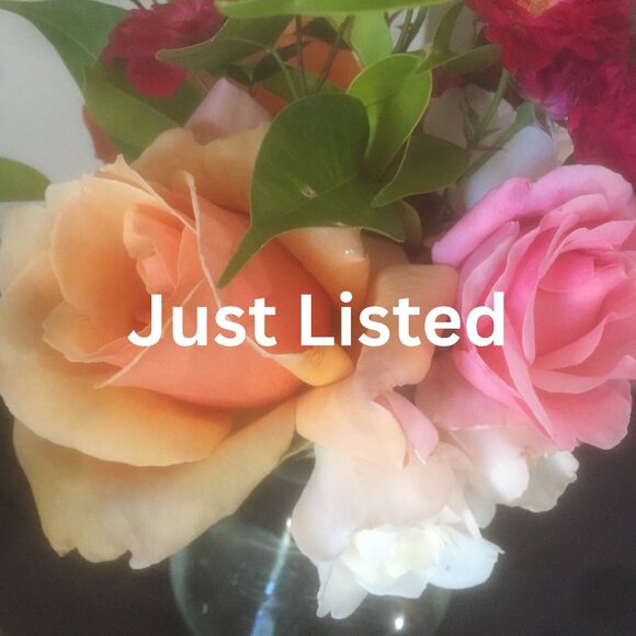 Just Listed - Picture 1 of 1